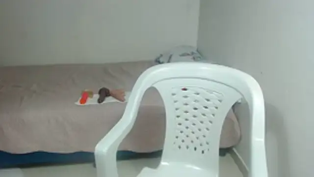 Agatha_browser webcam