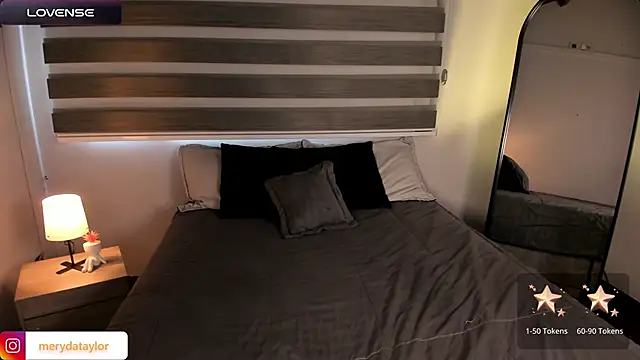 MERIDA_TAYLOR webcam