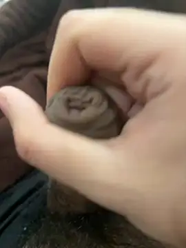 stickytick (M young) - Vibe ring