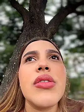 Colibri_Centaura webcam