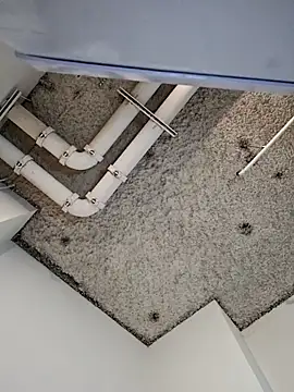 darkskinstroker (M twink) - Buy a black hairless cat