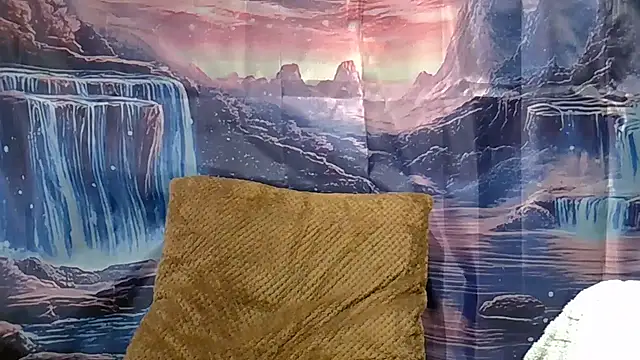 DutchButterfly webcam