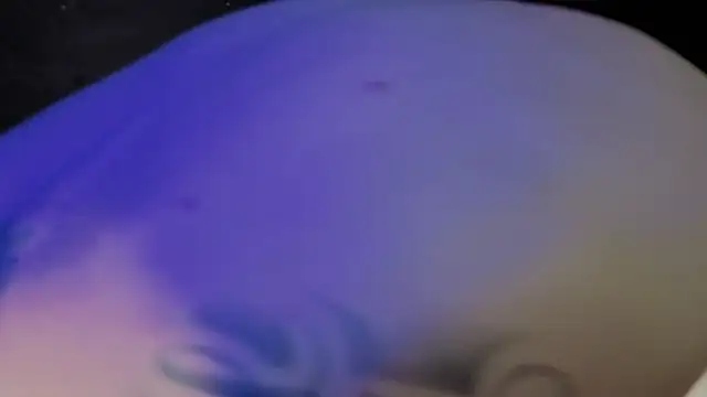 Dylanwhite23_ webcam