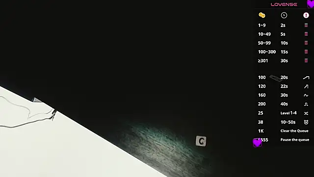 Agatha_Dubois4_ webcam