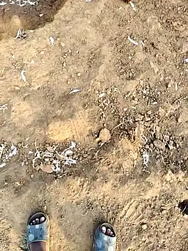 desi_alpha_boy webcam