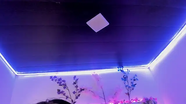 abbiecollins_js webcam