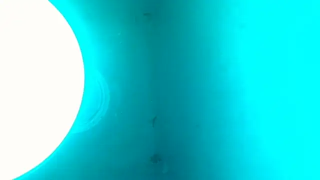 donostipar69_ (G young) - orgasmo