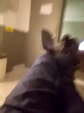 Preview of marretahello