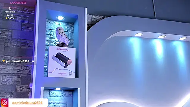 Preview of dominic_de_luca