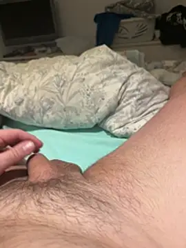 Preview of carapace31