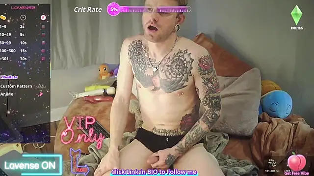 MickeyEvalong webcam