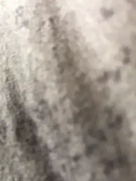 bigcurtis_d (M young) - NEW GOAL SEE DADDY CUMMMM 💦