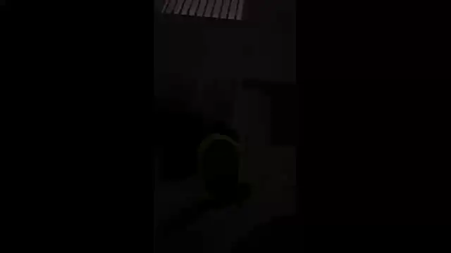 PrinceNoAlbert webcam