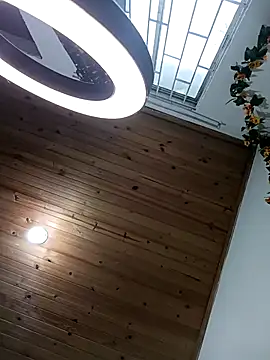 2_milo_verus_4 webcam