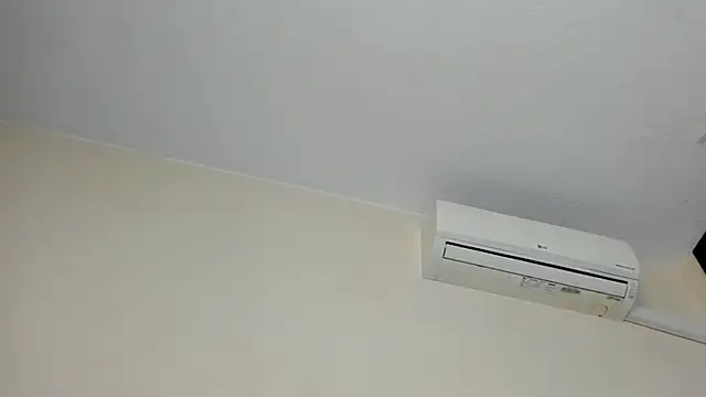 vanesadimaria webcam