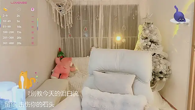 Vaidurya-Yolo webcam