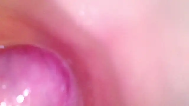 shannon_kinne_ webcam