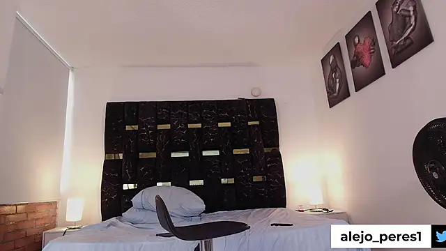 chris_blake__ webcam