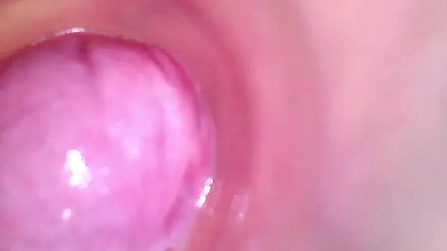 shannon_kinne_ webcam