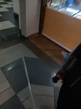 sophie_banger webcam