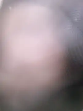 Roberts8inchcock webcam