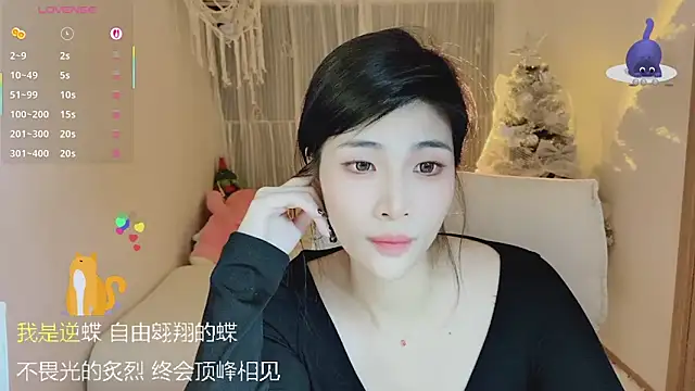 Vaidurya-Yolo webcam