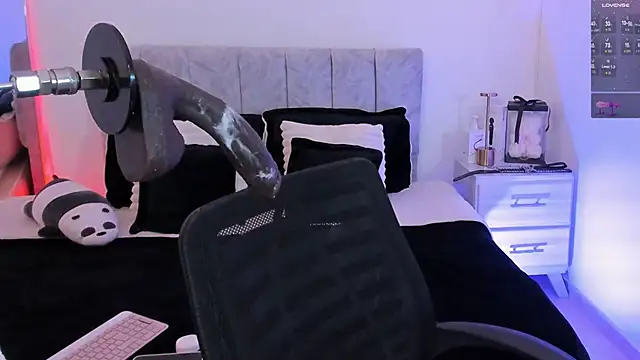 Taylormaxwell webcam