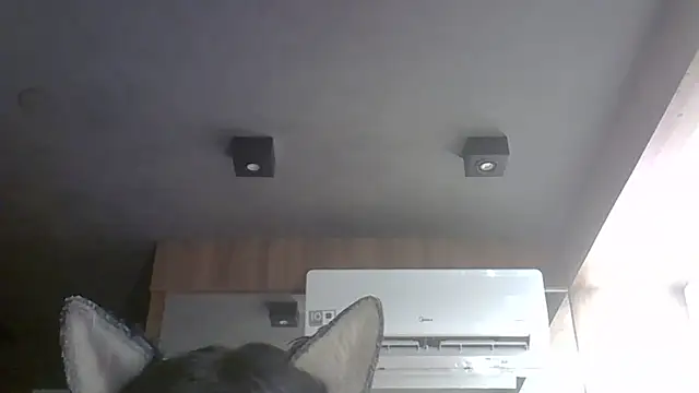 SkinnyKitten webcam
