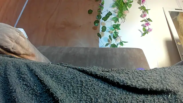 adhara_hotter webcam