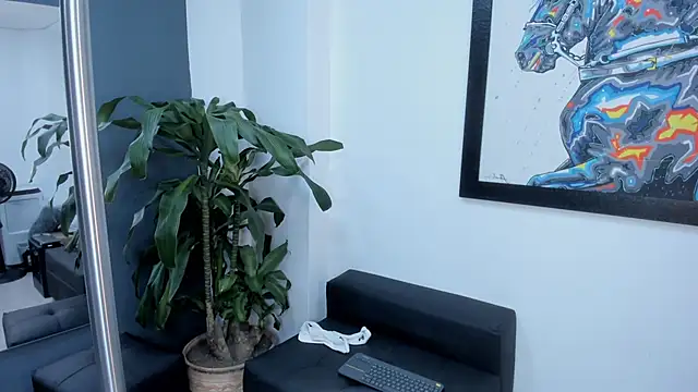 stephane_rouss webcam