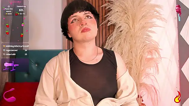 Hiddenhotcake webcam