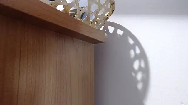 Pamela-StripX webcam