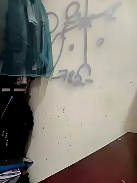 santosinsanta webcam