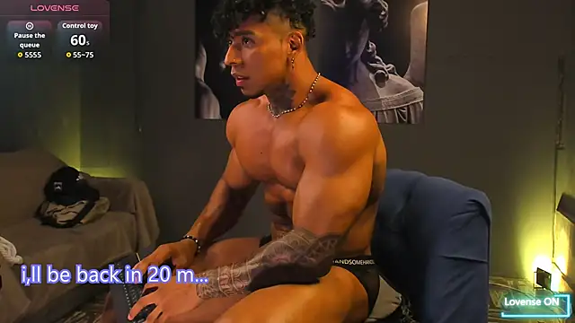 bradley_smith webcam