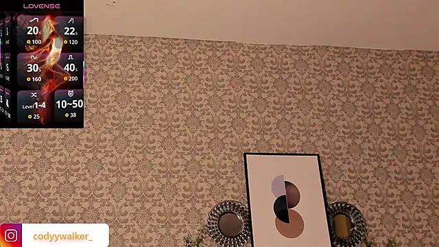 CodyWalkerR webcam