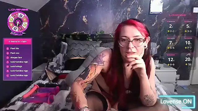 Harley-Moon webcam