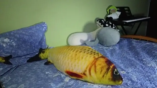 NEXT_DOOR_GIRL_ webcam