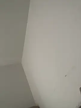 dania_oconor (G young) - sshow hole in doggy