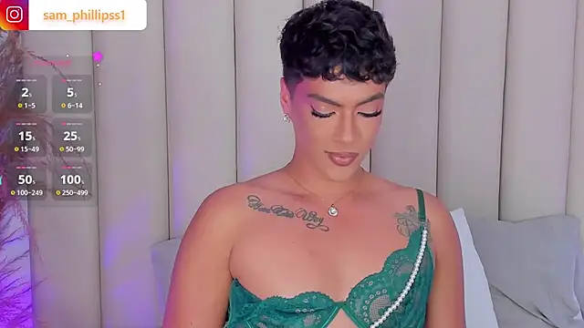 sam_phillipss webcam