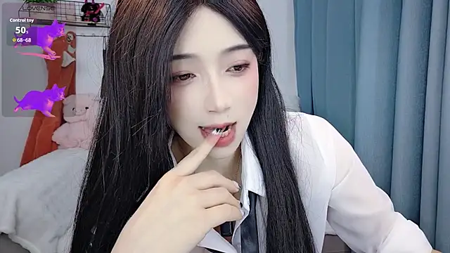 Augenstern_cat webcam