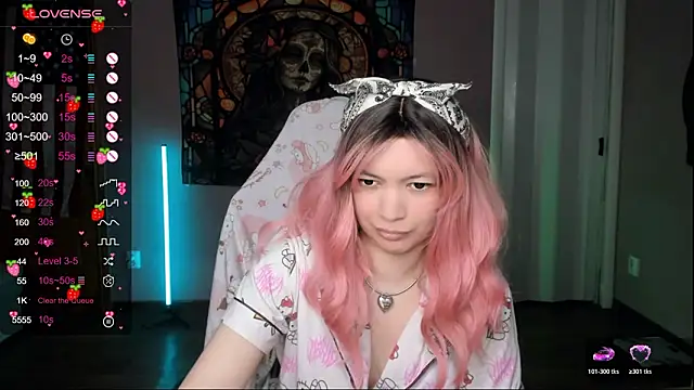 Project_hisoka webcam