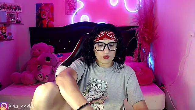 AriaDark webcam