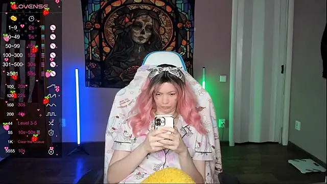 Project_hisoka webcam