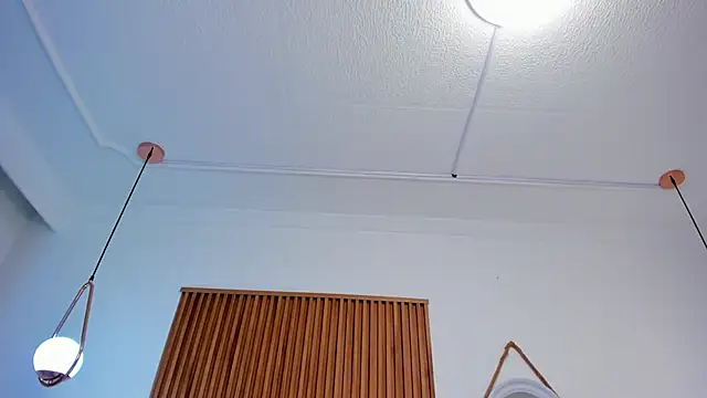 Alaska_deluxe webcam