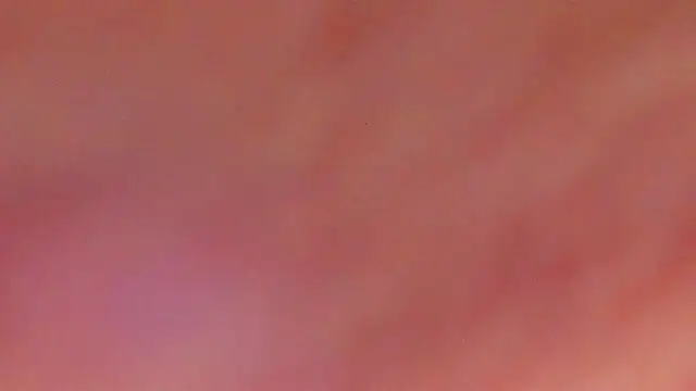 excited-blizzard (F young) - 😺DILDO TIME FOR KITTY^^