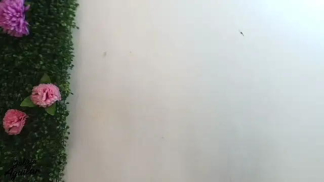 julieta_aguilar1 (F teen) - TRY PUT MY PLUG ANAL WITH MASTURBATION