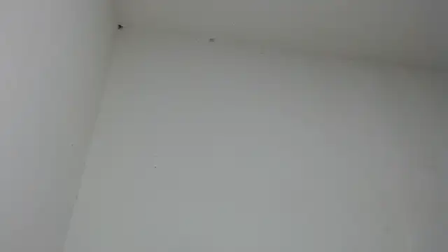 drako_monster webcam