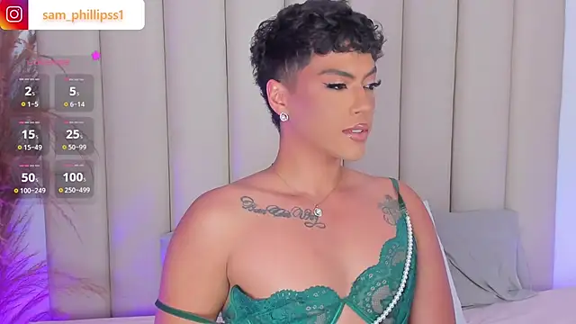 sam_phillipss webcam