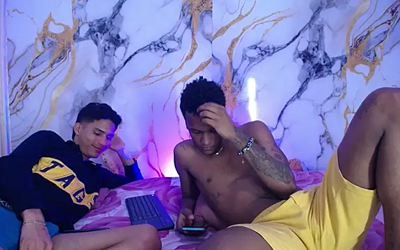 Damian_and_theo webcam