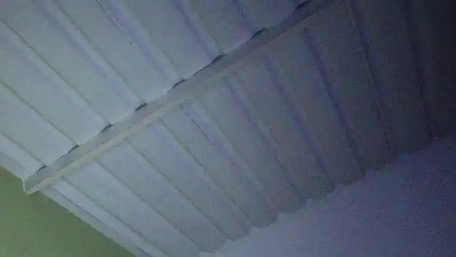 NEXT_DOOR_GIRL_ webcam